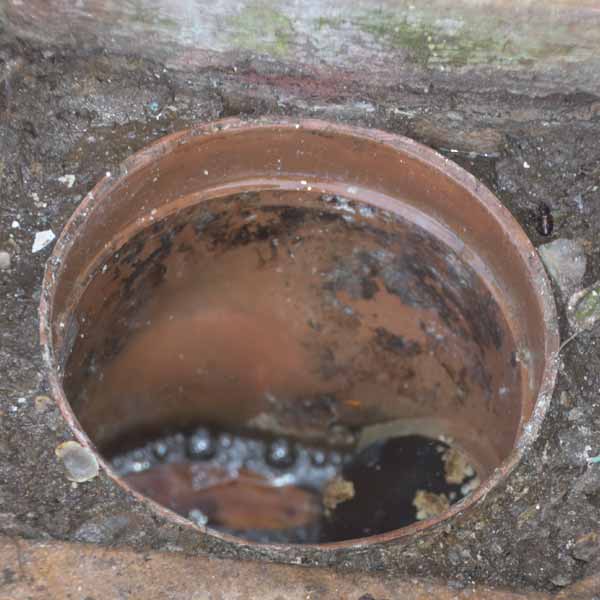 Domestic drain cleaning step 1